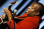http://www.bluenotemilano.it/