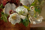 http://www.fondazionecrtortona.it/