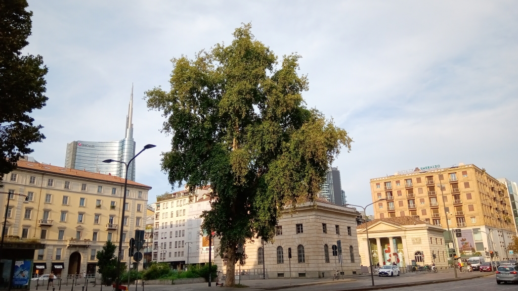 Agosto, several locations, Milano