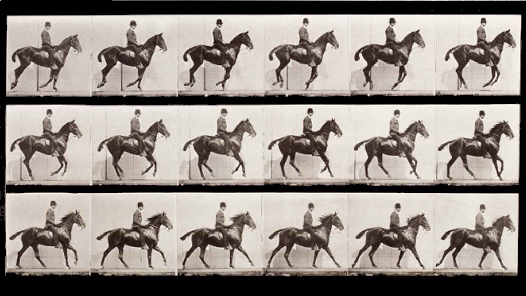 Science in Motion, Museo Poldi Pezzoli, Milano