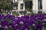 Villa Necchi Campiglio